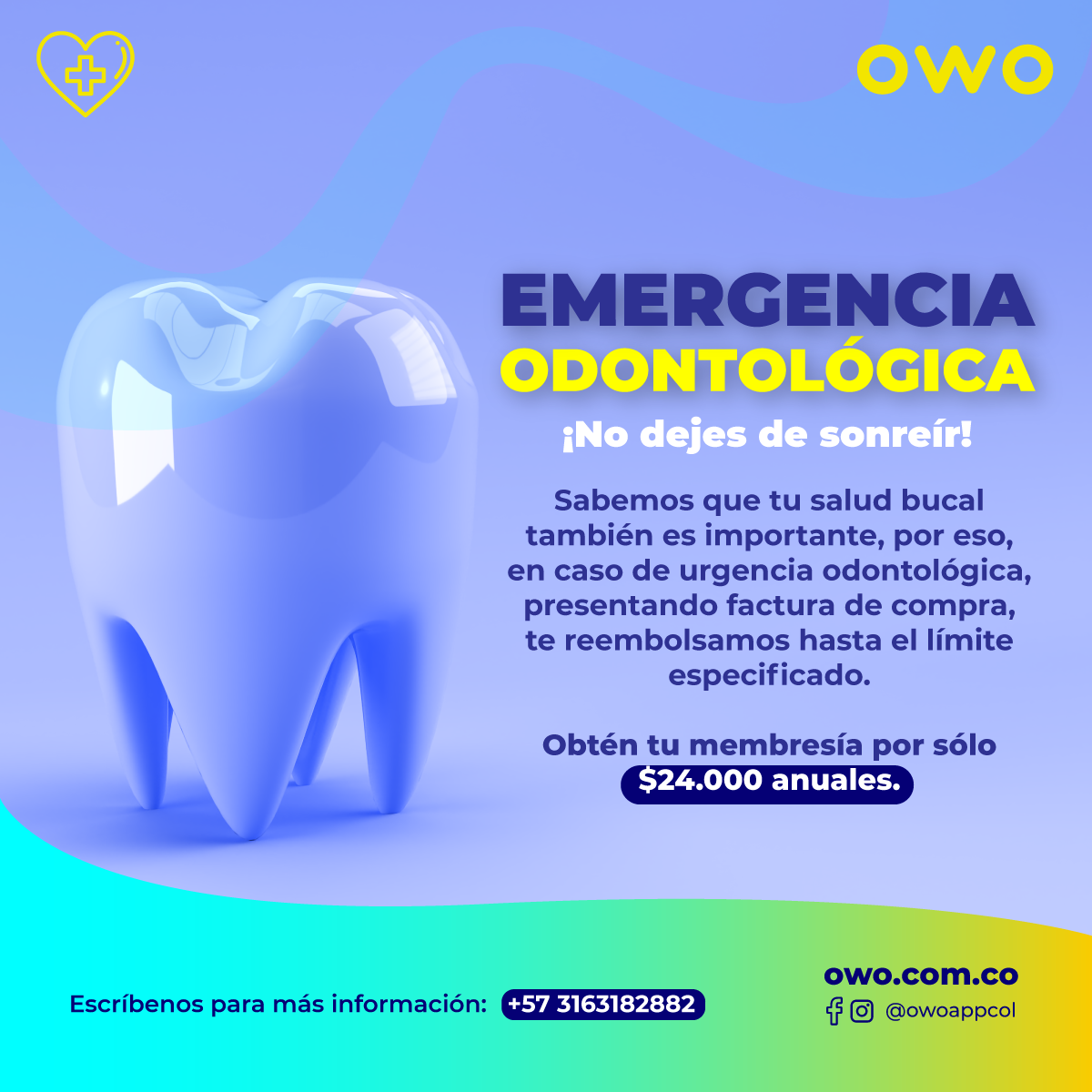 odontologia-web